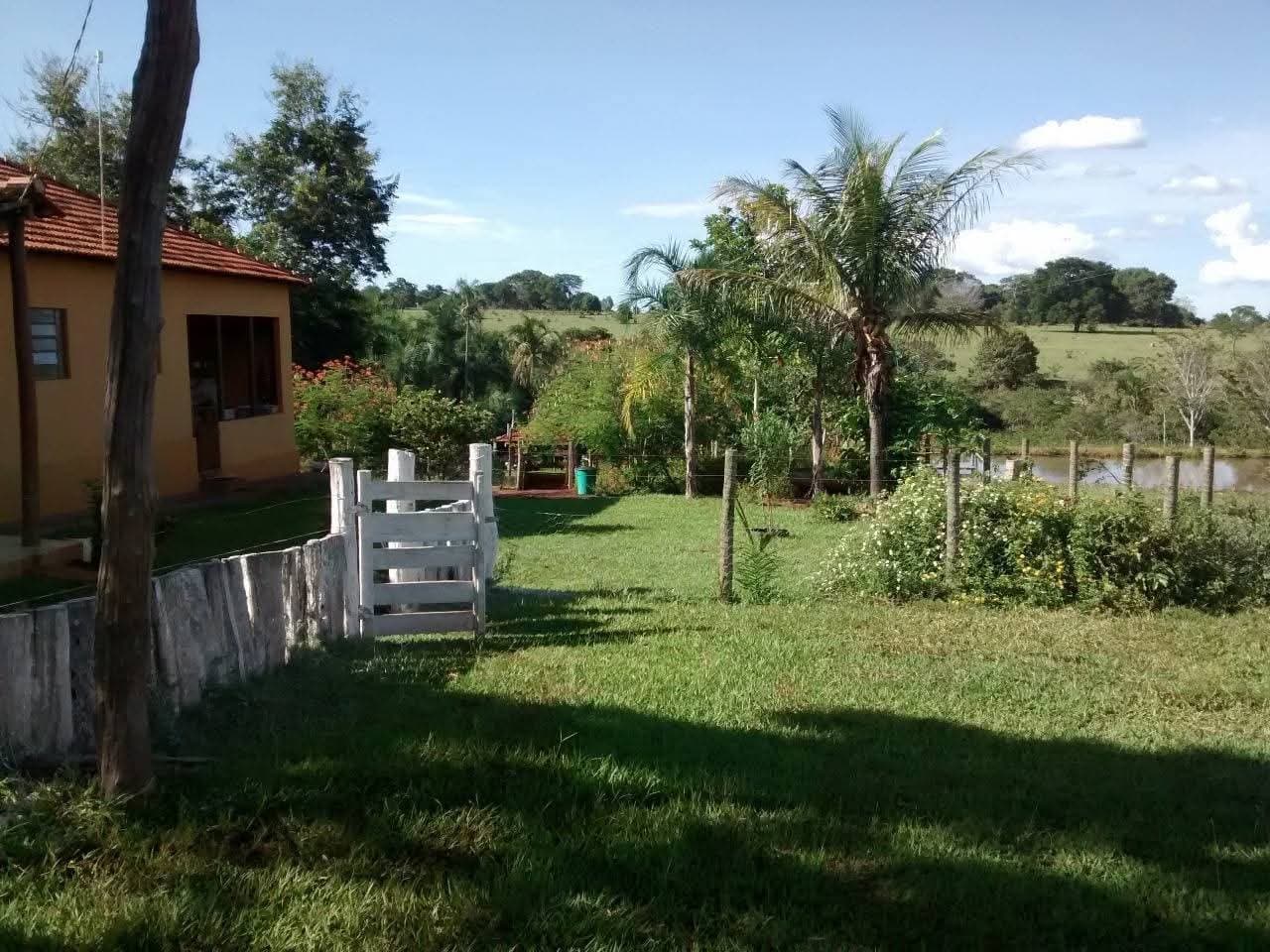 Fazenda Caiapo - 2