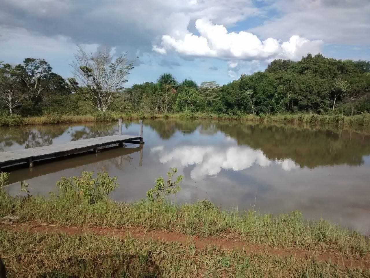 Fazenda Caiapo - 3