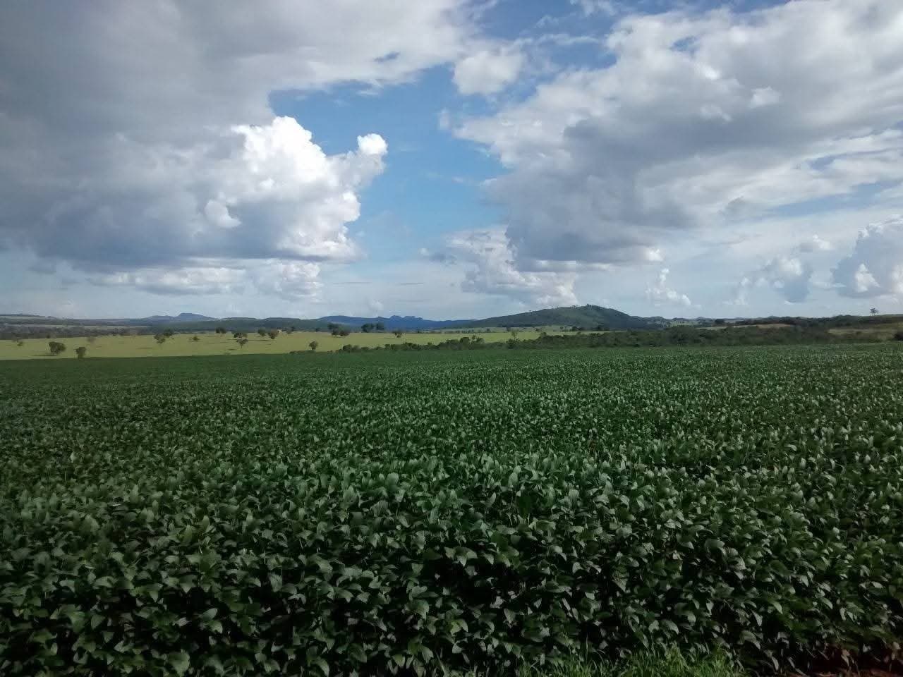 Fazenda Caiapo - 5