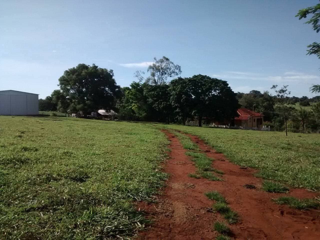 Fazenda Caiapo - 4